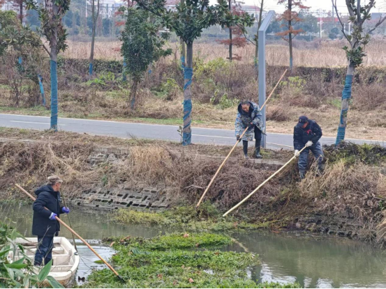 张金镇：全域攻坚“六清”行动 绘就和美乡村新画卷