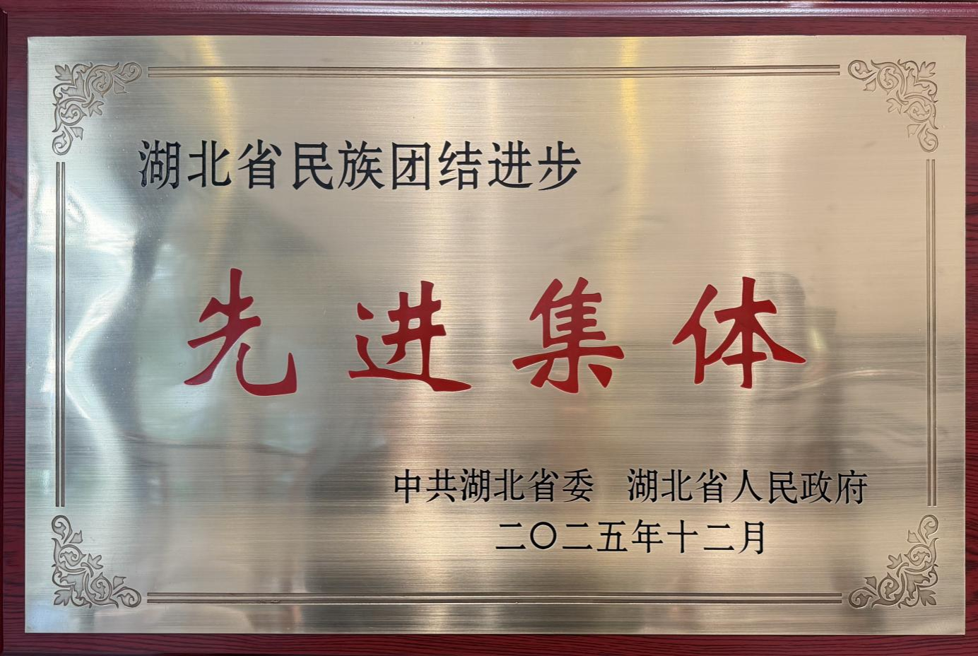 民族学院荣获“湖北省民族团结进步先进集体”称号