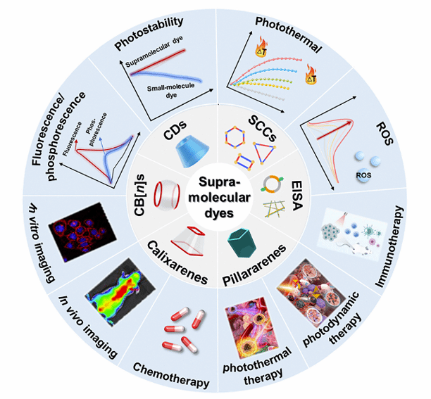 华中农业大学学者发表“超分子光学诊疗试剂助力生物医学研究”长篇综述