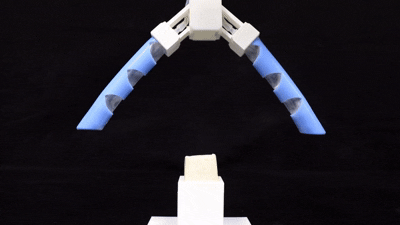 中国地质大学自动化学院赖旭芝教授团队在《Nature》子刊发表重要研究成果