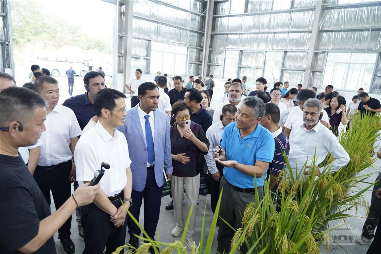 以种业初心书写报国担当，“农民教授”朱仁山荣膺2025年度“荆楚楷模”