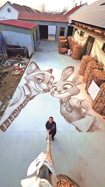 小伙“手搓”《疯狂动物城2》谷物画 称用了50斤黑小麦，历时6小时完成