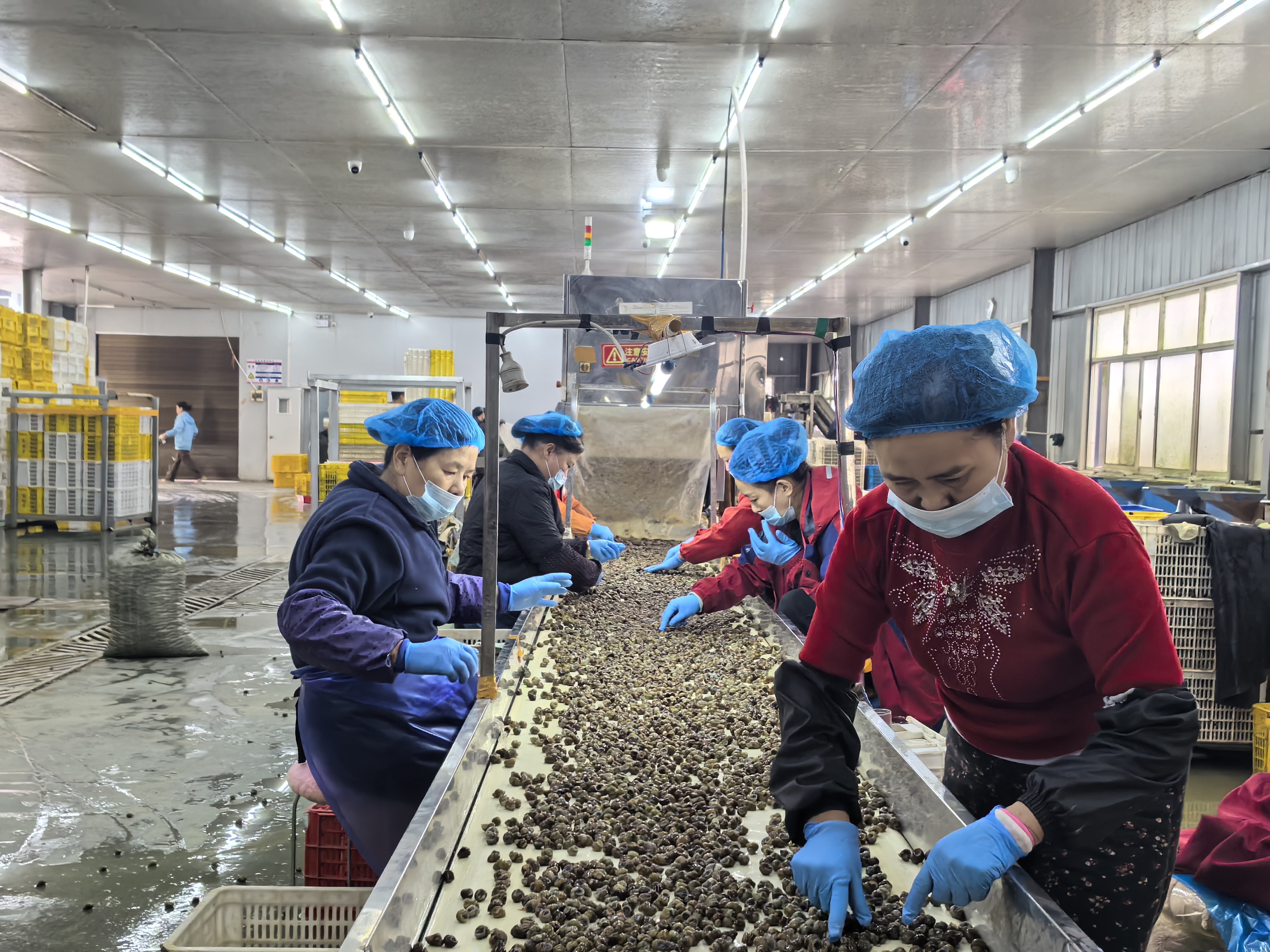 一颗小螺蛳 撬动大市场