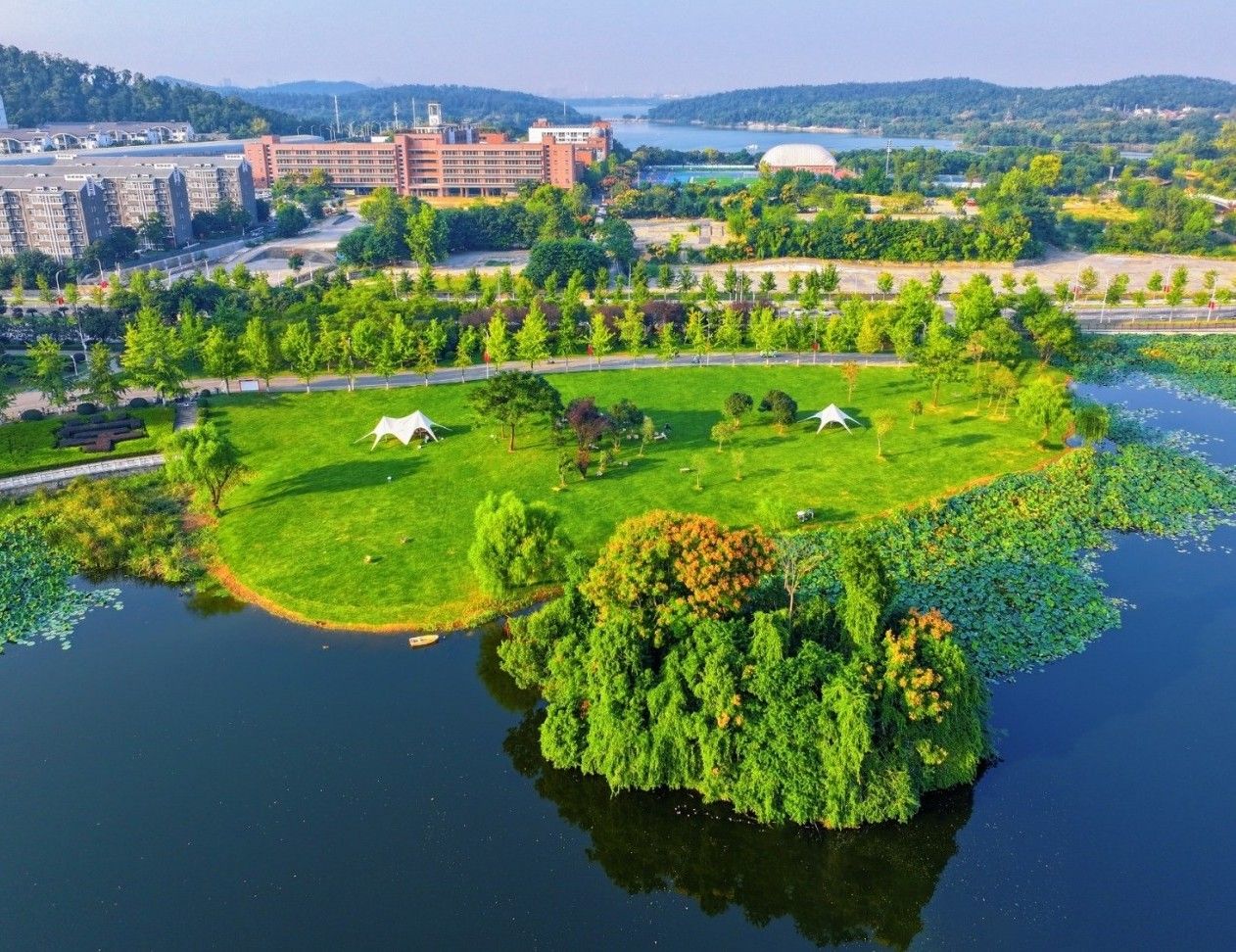 曙光养殖场土地收回工作圆满完成