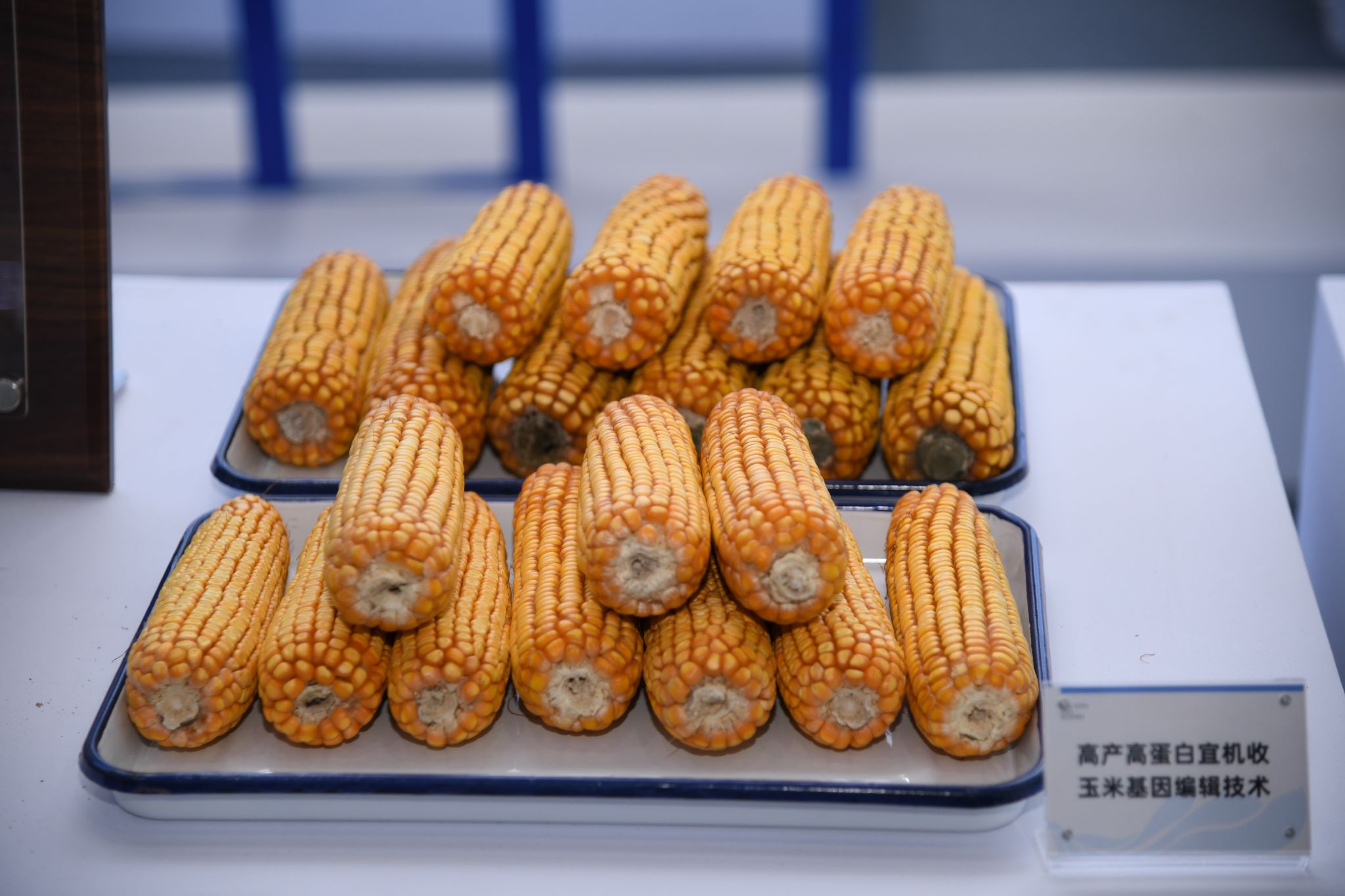 华中农业大学15项科技成果亮相2025湖北农业博览会