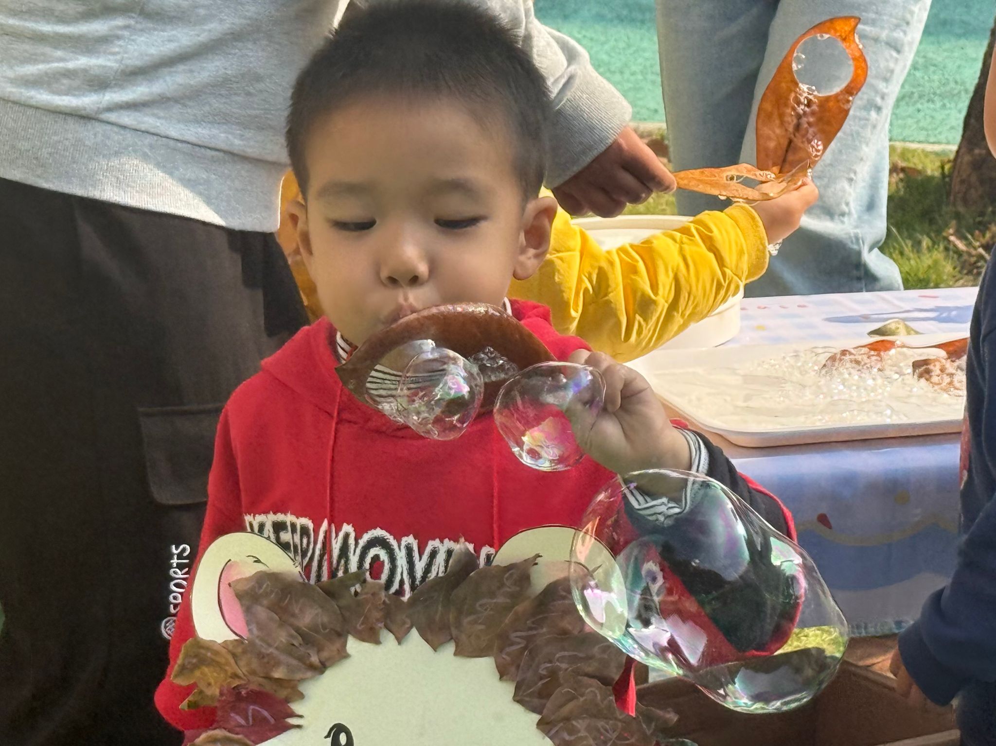 一起给冬天比个“叶”：华中农业大学幼儿园开展自然教育活动