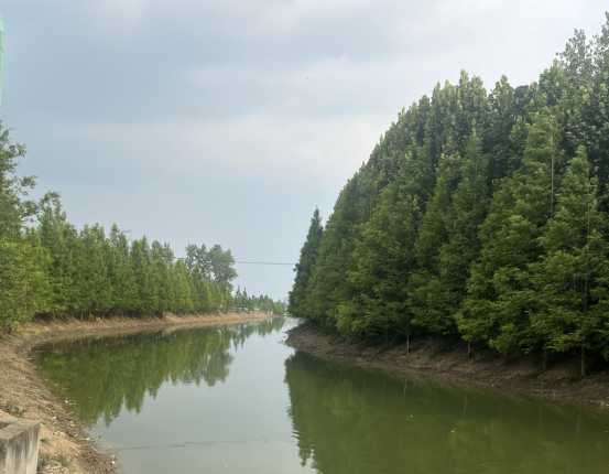 潜江：双轮驱动治水系 一泓清水润乡村