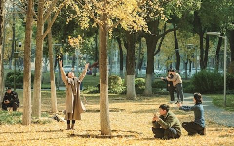 快来，赏岁末最后一抹金黄