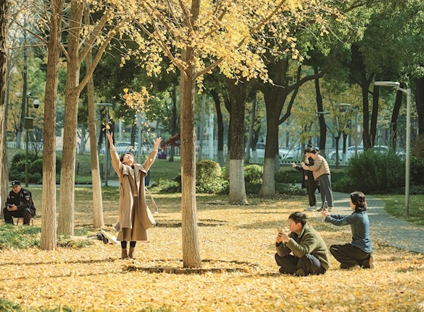 快来，赏岁末最后一抹金黄