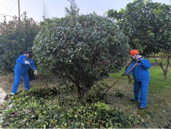 广华寺街道：以“六清”整治为抓手 绘就宜居乡村新画卷