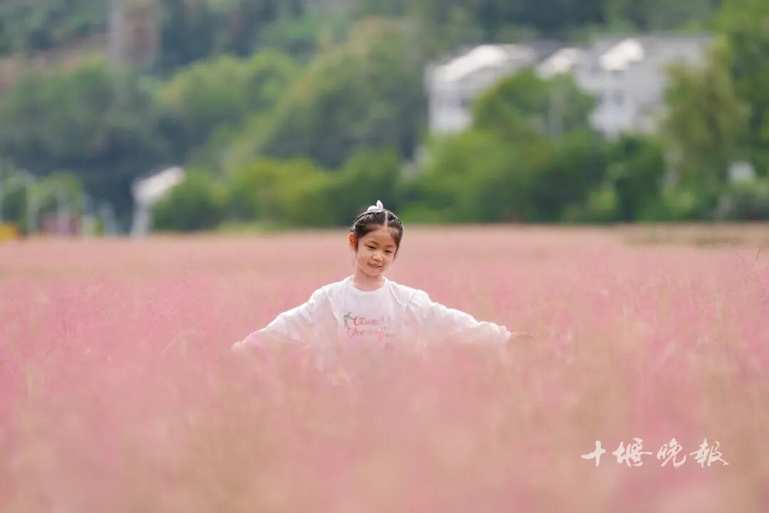 2025年进入倒计时!这些十堰人舍不得删的照片,哪张戳中了你的心?