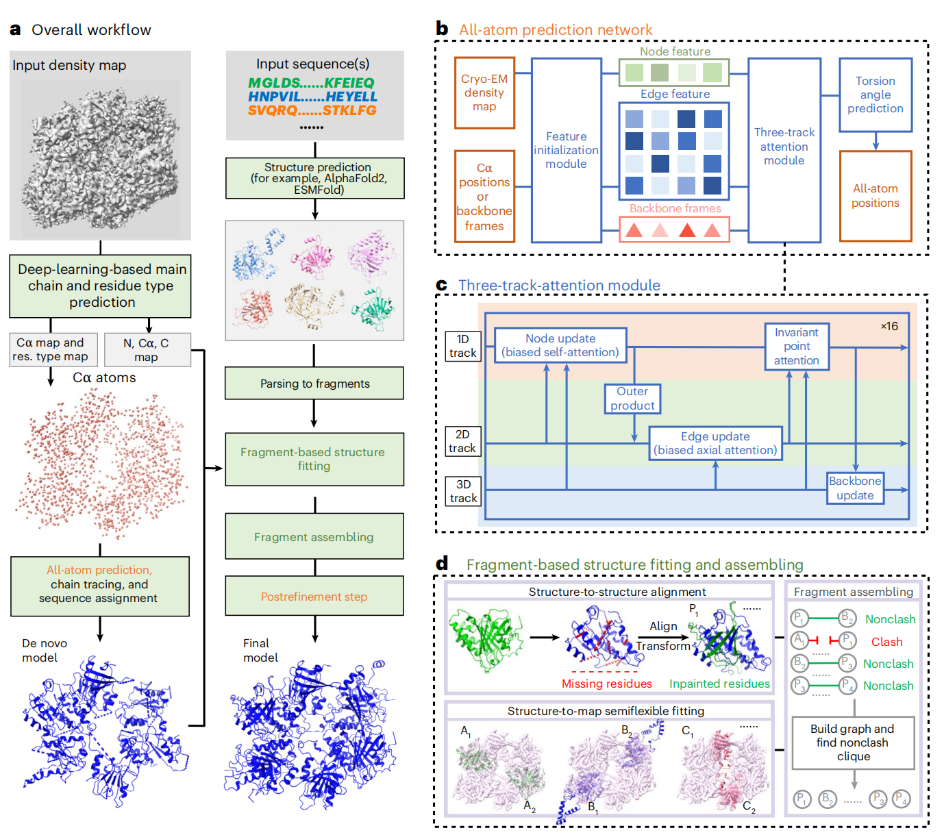 物理学院黄胜友教授团队在冷冻电镜蛋白质结构建模领域获进展