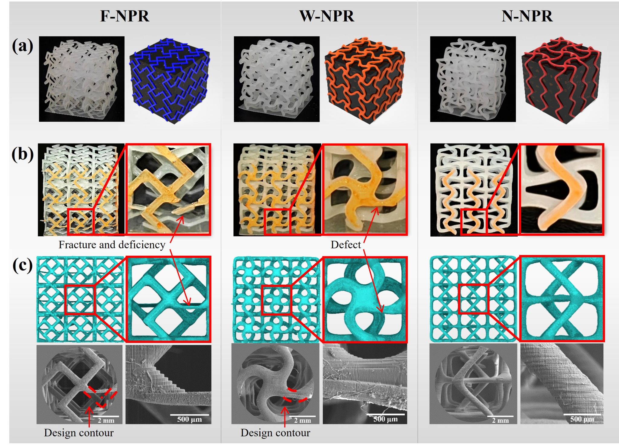 拉它反而变宽？地大团队造出“反常识”材料，登国际期刊封面