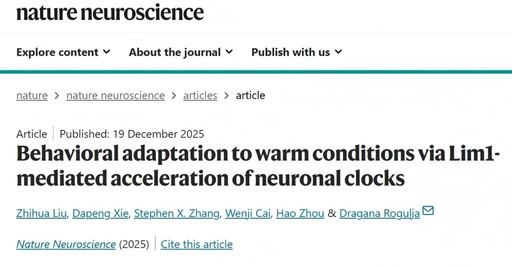 湖大成果首次登上《自然-神经科学》　揭秘生物钟高温调速机制