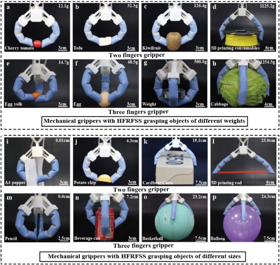 中国地质大学自动化学院赖旭芝教授团队在《Nature》子刊发表重要研究成果