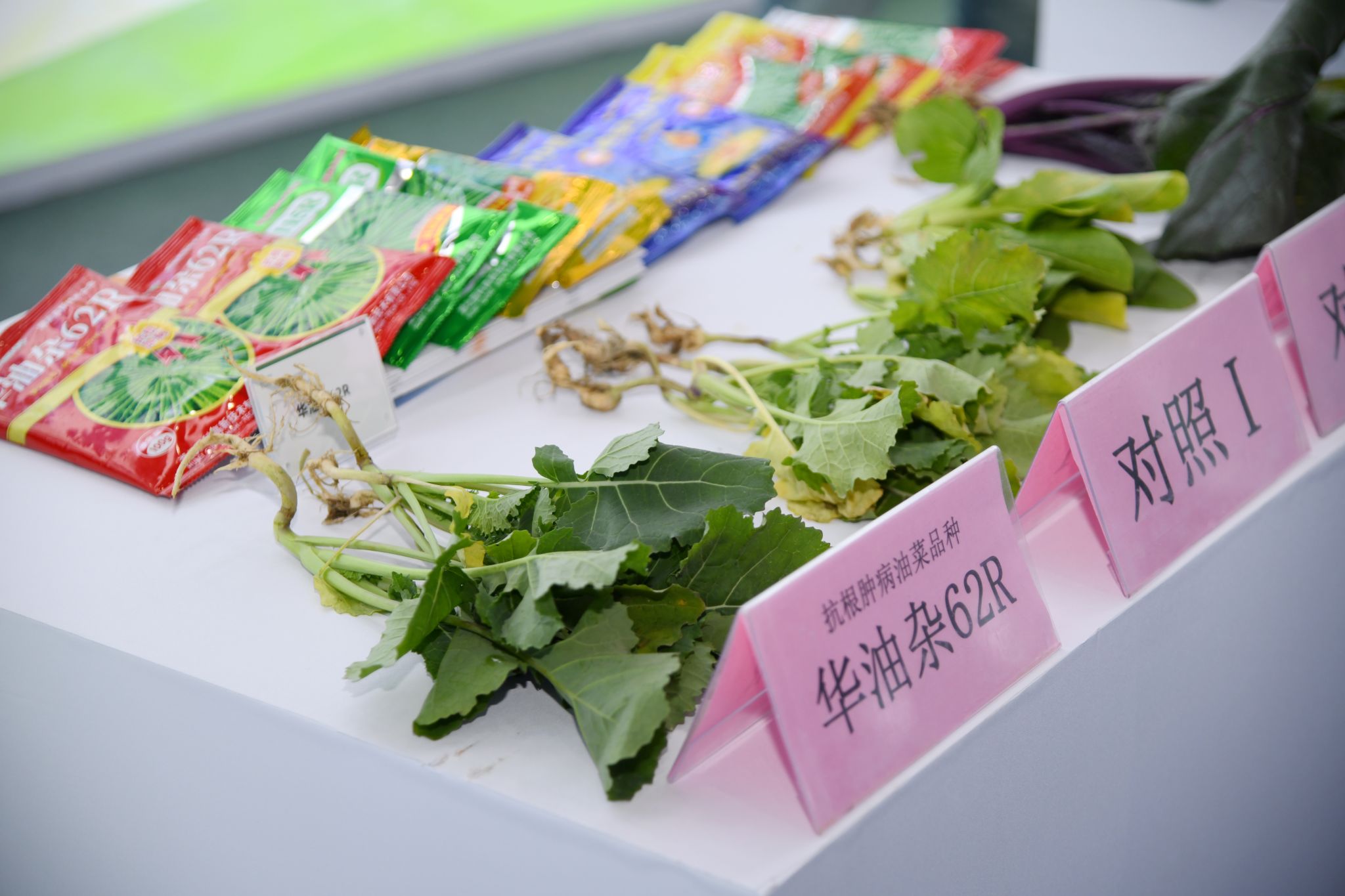 华中农业大学15项科技成果亮相2025湖北农业博览会