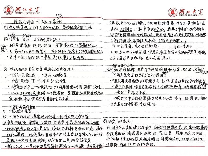书法大赛特等奖田佳卉的师范梦