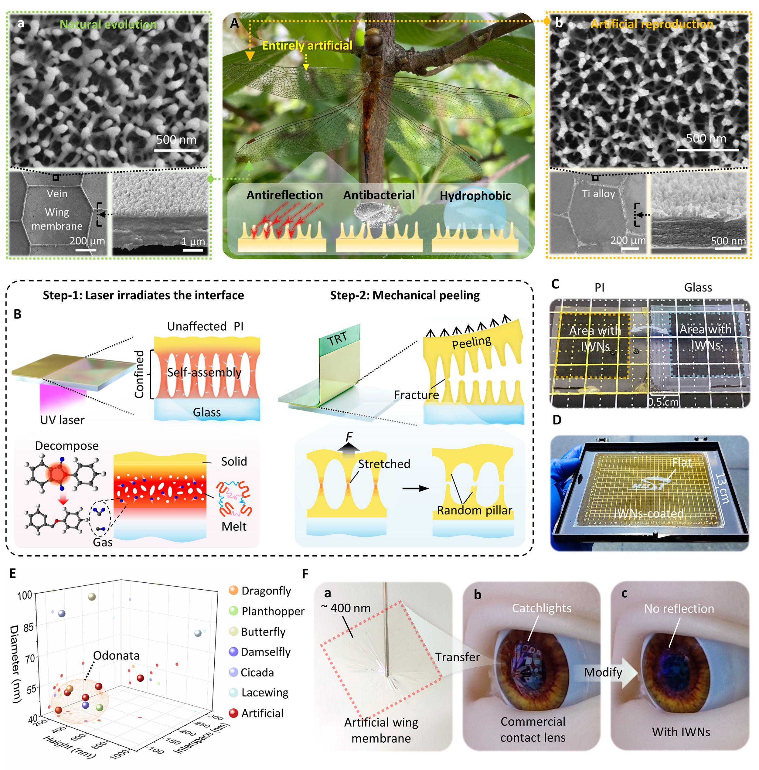 机械学院黄永安教授团队在仿生微纳结构制造领域取得新成果