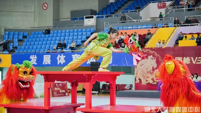 2金2银4铜！湖北大学龙狮团全国锦标赛再创佳绩