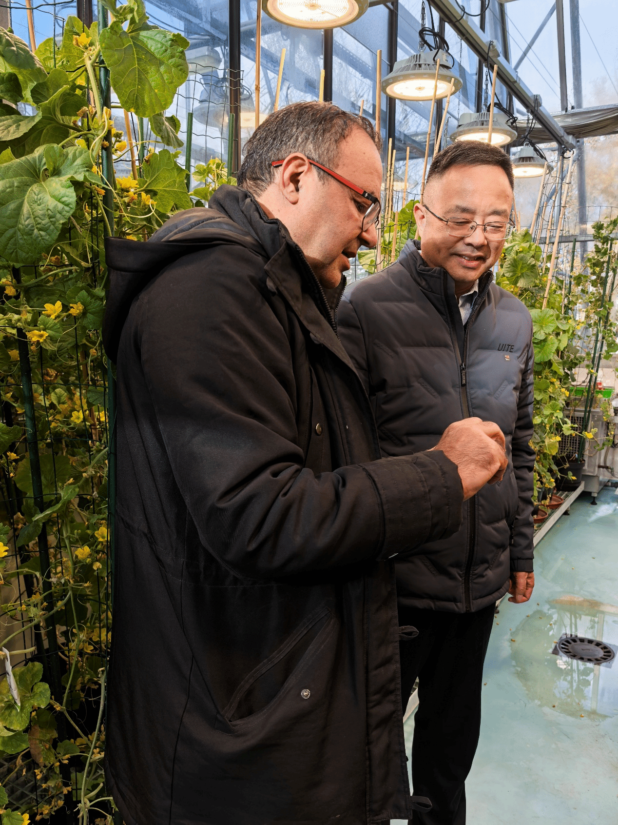 副校长青平率团赴法国和摩洛哥推进国际合作