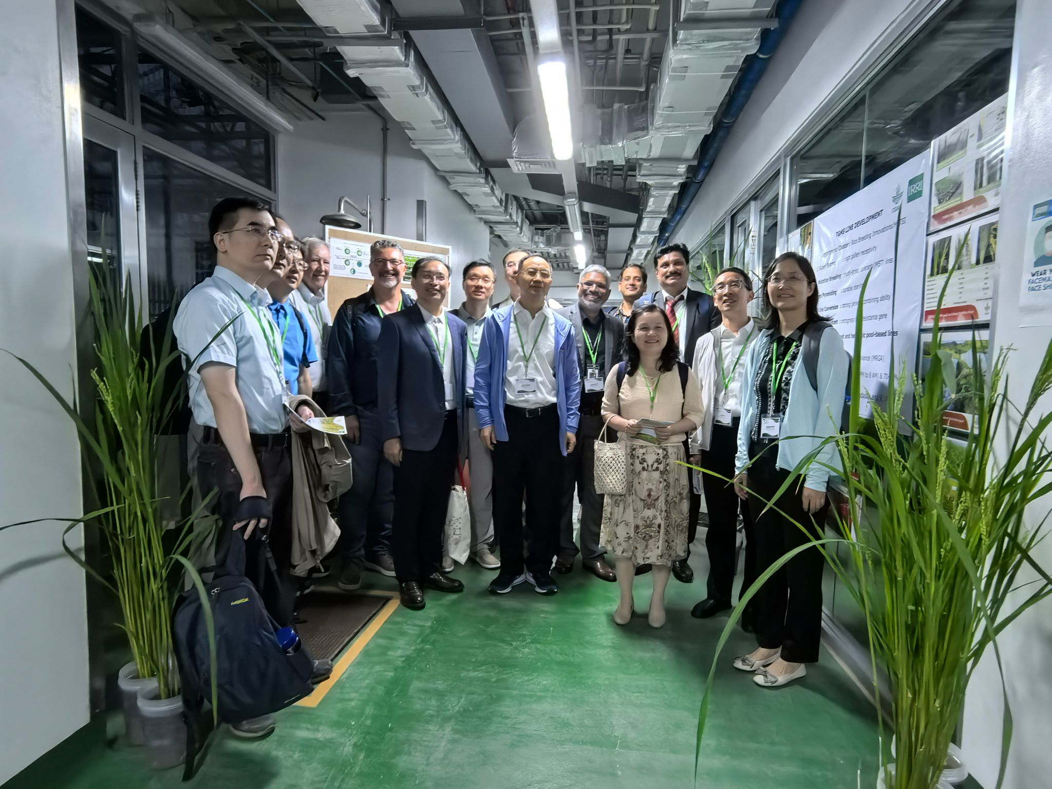 张启发院士率团赴国际水稻研究所参加国际研讨会