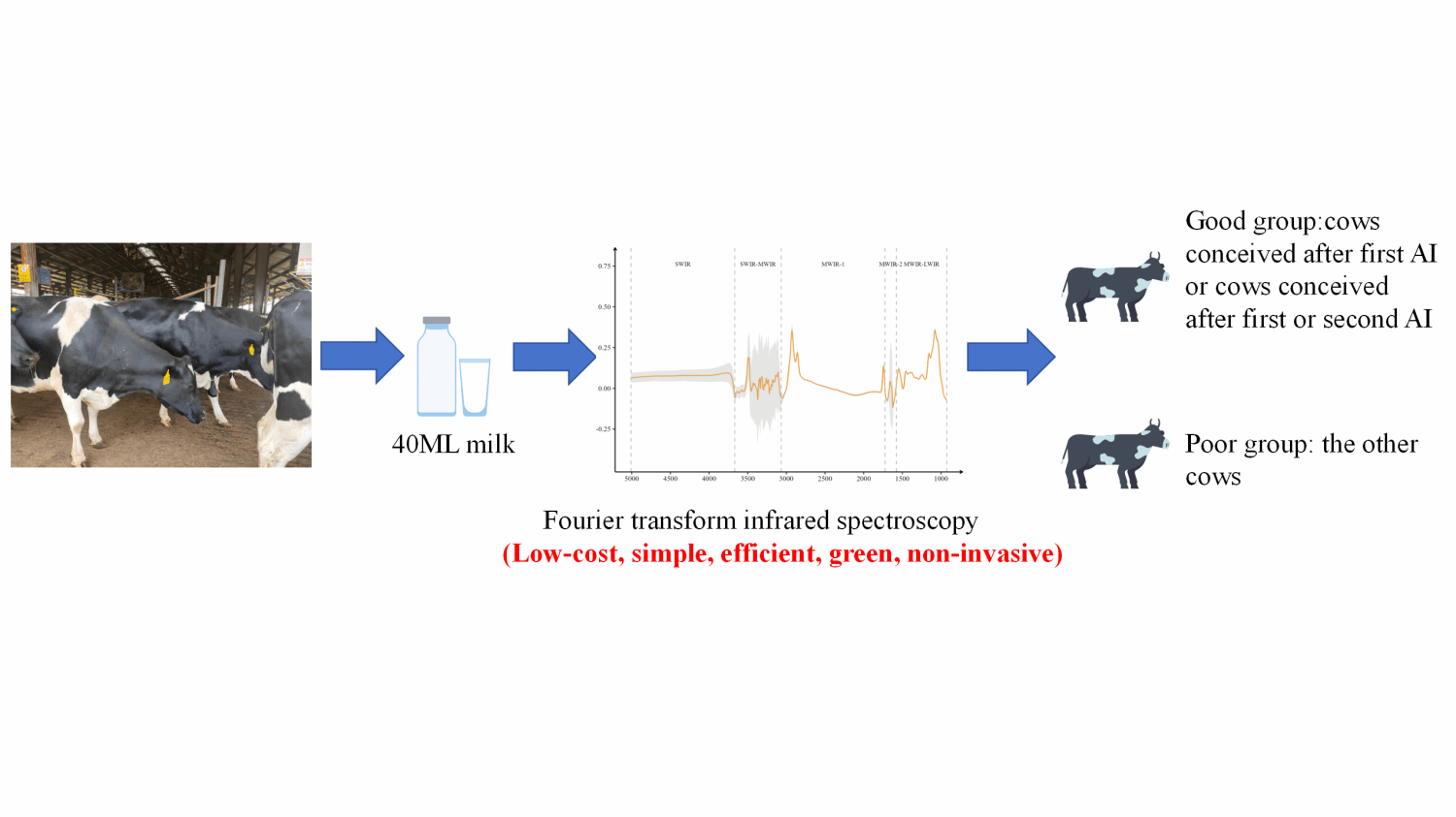 华中农业大学学者在奶牛繁殖力检测领域取得新进展