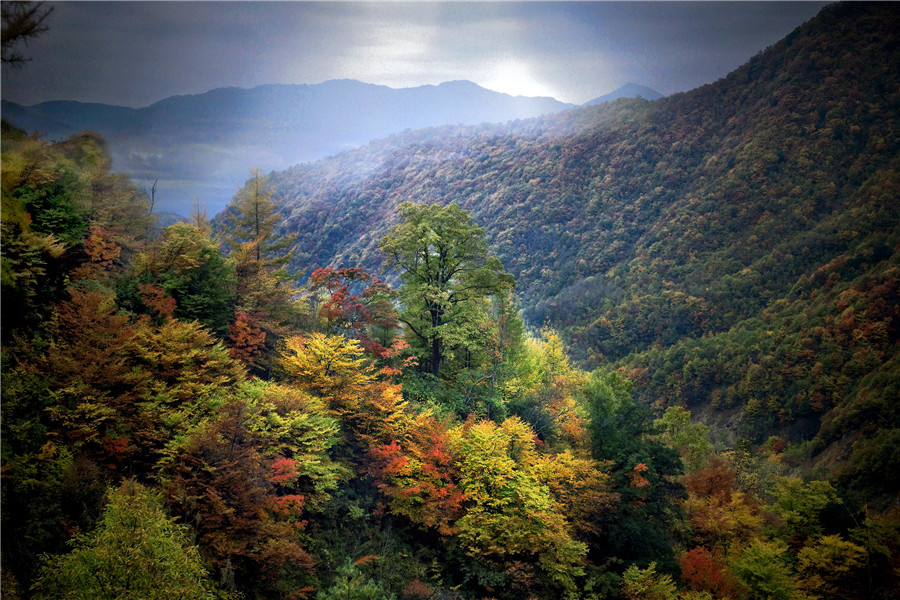 神农架生态旅游区