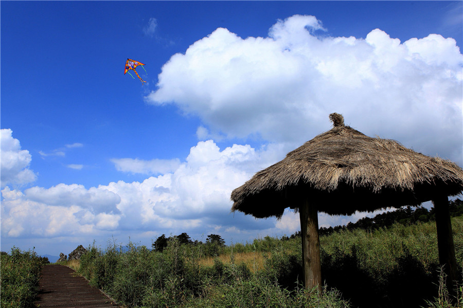 神农架生态旅游区