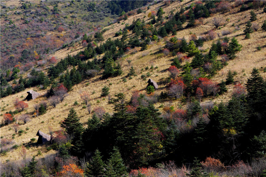神农架生态旅游区