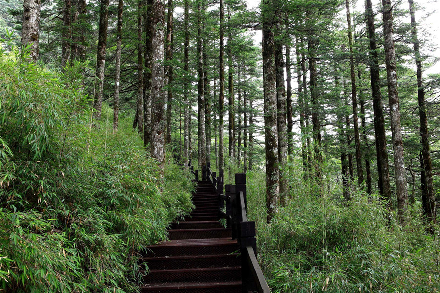 神农架生态旅游区