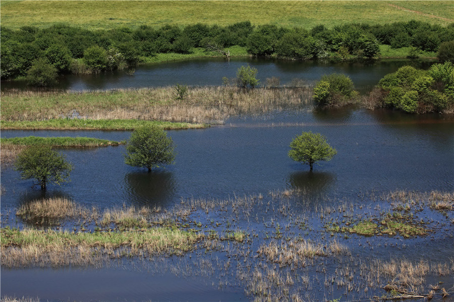 神农架生态旅游区
