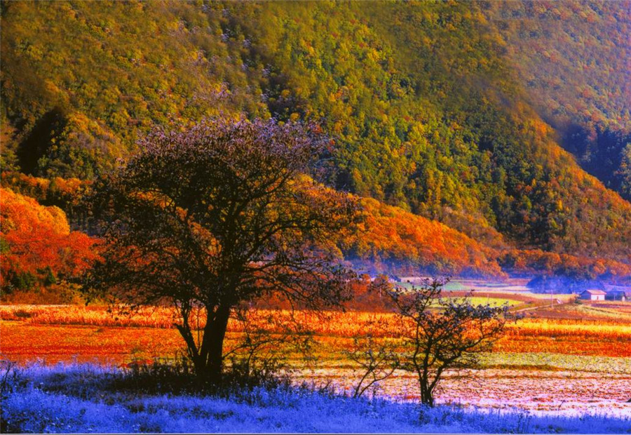 神农架生态旅游区