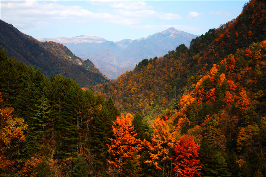 神农架生态旅游区