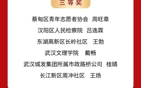 长江新区两名团干部在全市团干部技能大赛决赛中荣获三等奖