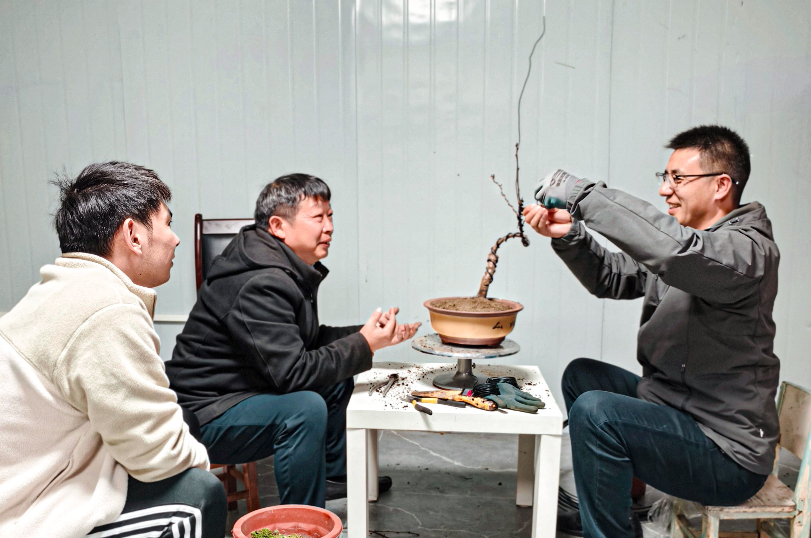 武汉有支樱花科研团队，樱花新品种研发国际领先