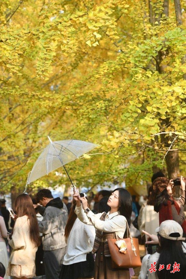 《2025活力之城IP指数报告》发布 武汉城市IP综合实力全国第二