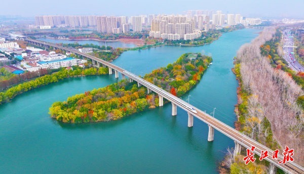 初冬武汉，一半烟火一半诗画