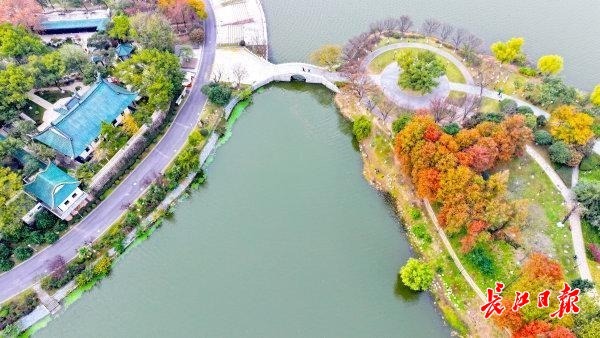 初冬武汉，一半烟火一半诗画