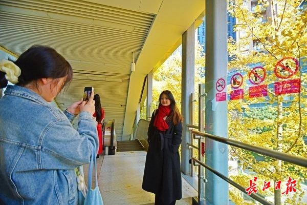 银杏地铁站赶紧来打卡