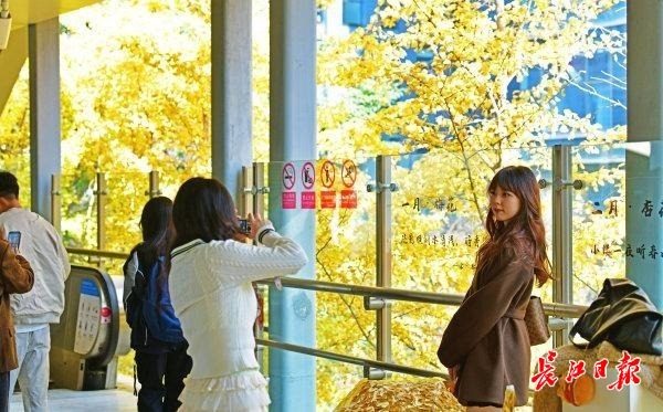 银杏地铁站赶紧来打卡
