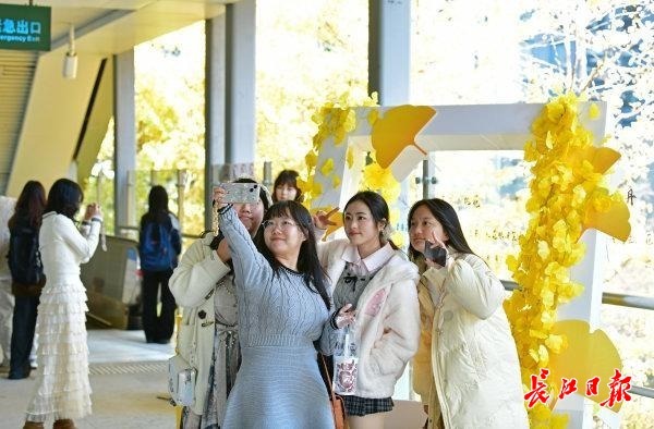 银杏地铁站赶紧来打卡