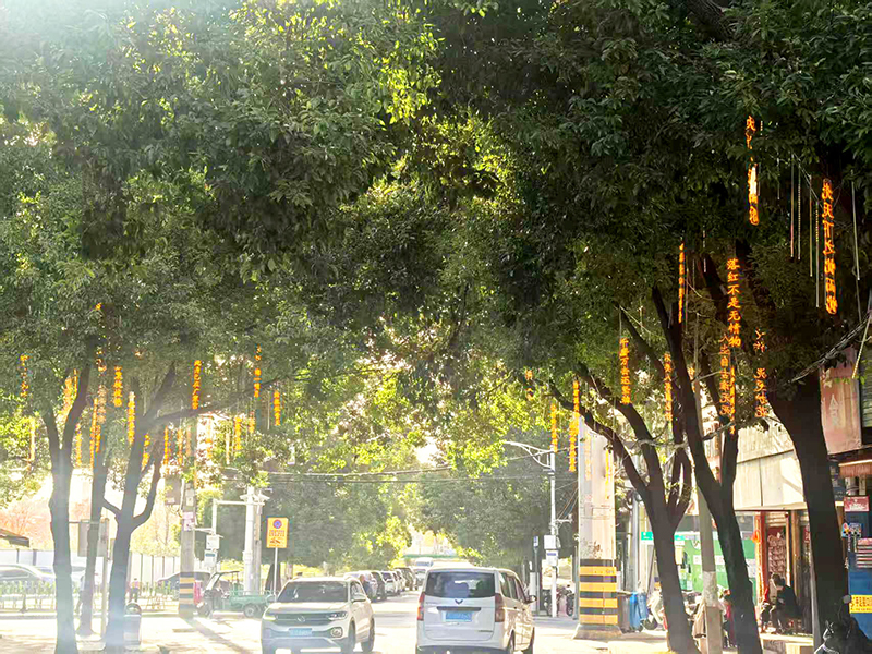 老街“微改造”点亮新生活 红桥特色街区焕发新生机