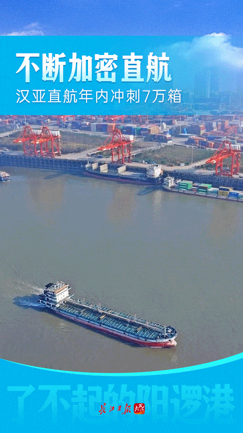 武汉这个小码头变身国际港口，怎么做到的？