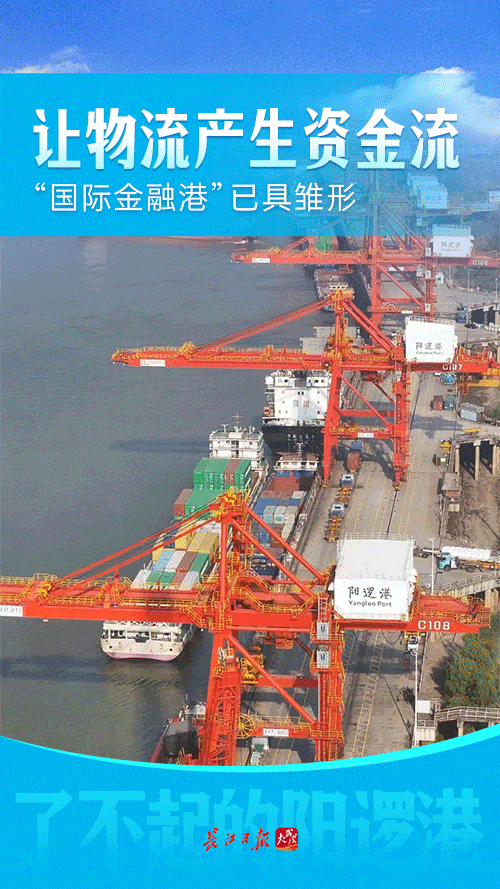 武汉这个小码头变身国际港口，怎么做到的？