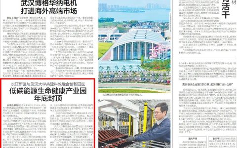 媒体聚焦 | 长江日报：长江新区与武汉大学共建科教融合创新园区 低碳能源 生命健康产业园年底封顶