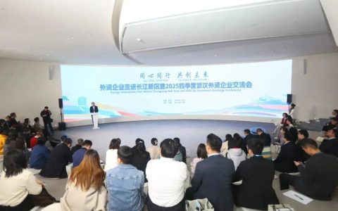外资企业走进长江新区暨2025四季度武汉外资企业交流会成功举办