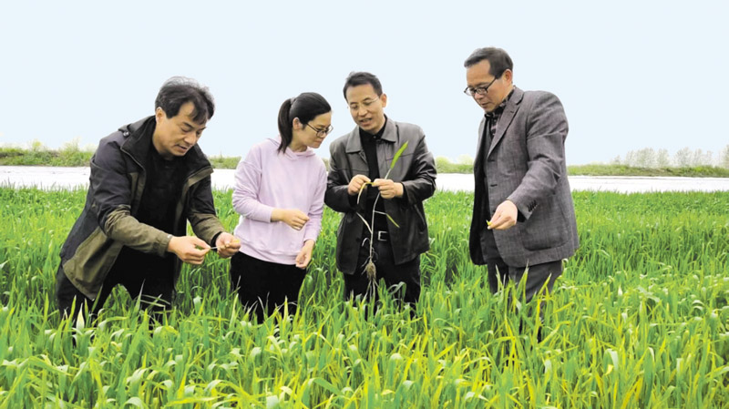 履职密码解锁产业倍增 嘉鱼探索专业代表小组履职新路径