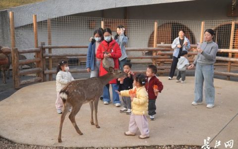 媒体聚焦 | 长江新区媒体观察团活动举办 近20家主流媒体走进武汉麓洲生态城