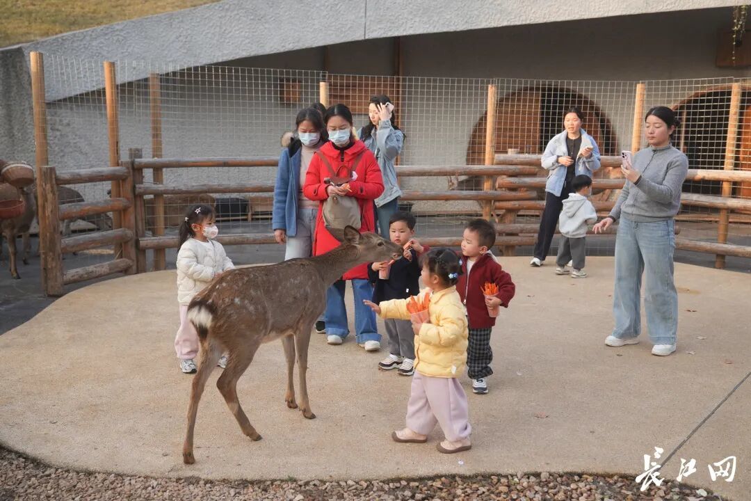 媒体聚焦 | 长江新区媒体观察团活动举办 近20家主流媒体走进武汉麓洲生态城