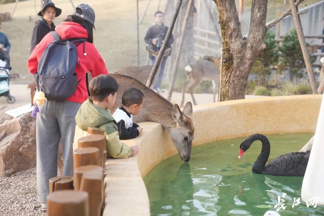 媒体聚焦 | 长江新区媒体观察团活动举办 近20家主流媒体走进武汉麓洲生态城